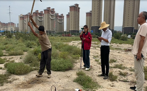 麻豆视频91视频中的挑戰與對策：確保地質數據的準確性與全麵性